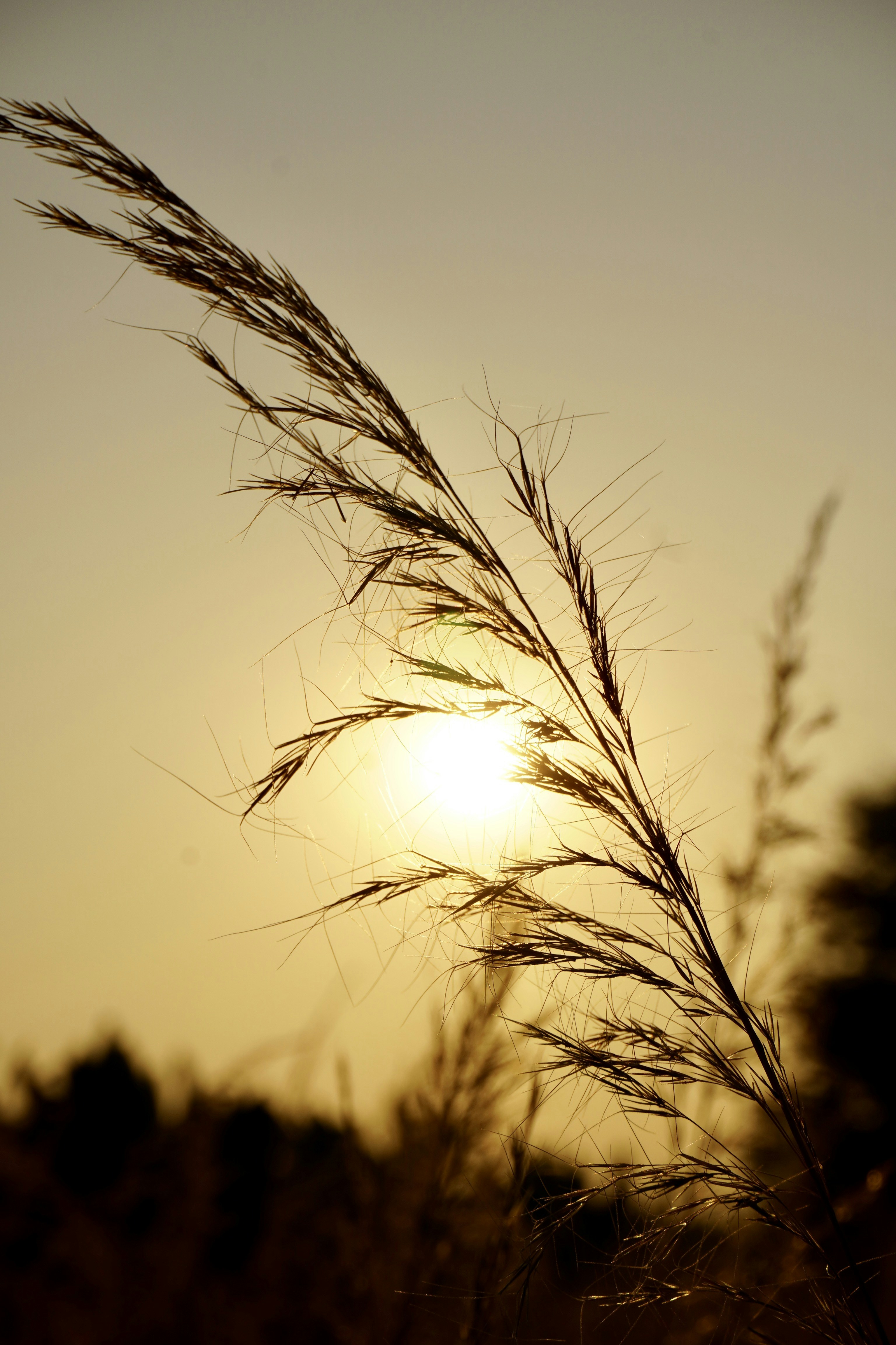 Photo by aungswamnyi