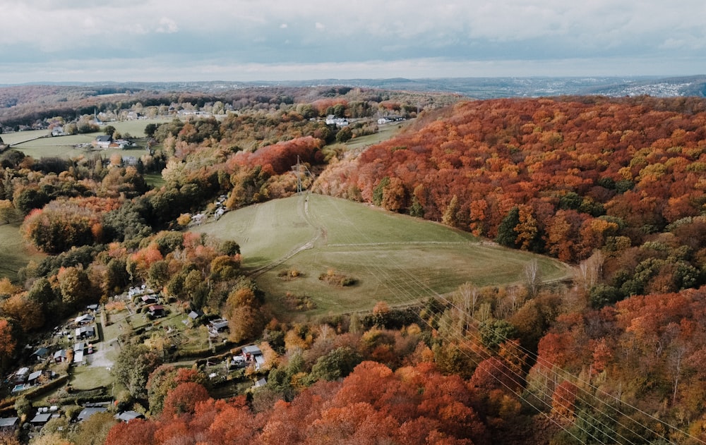 aerial view of green and brown trees and green grass field during daytime