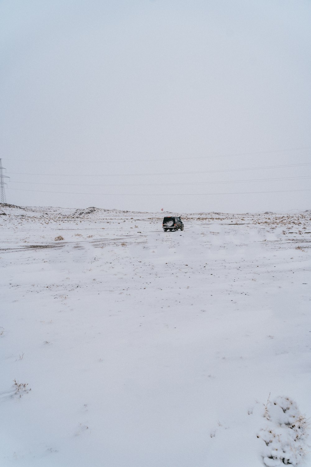 black and brown dog on snow covered ground