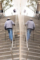 A caring member helping an elderly person carry groceries up the stairs.