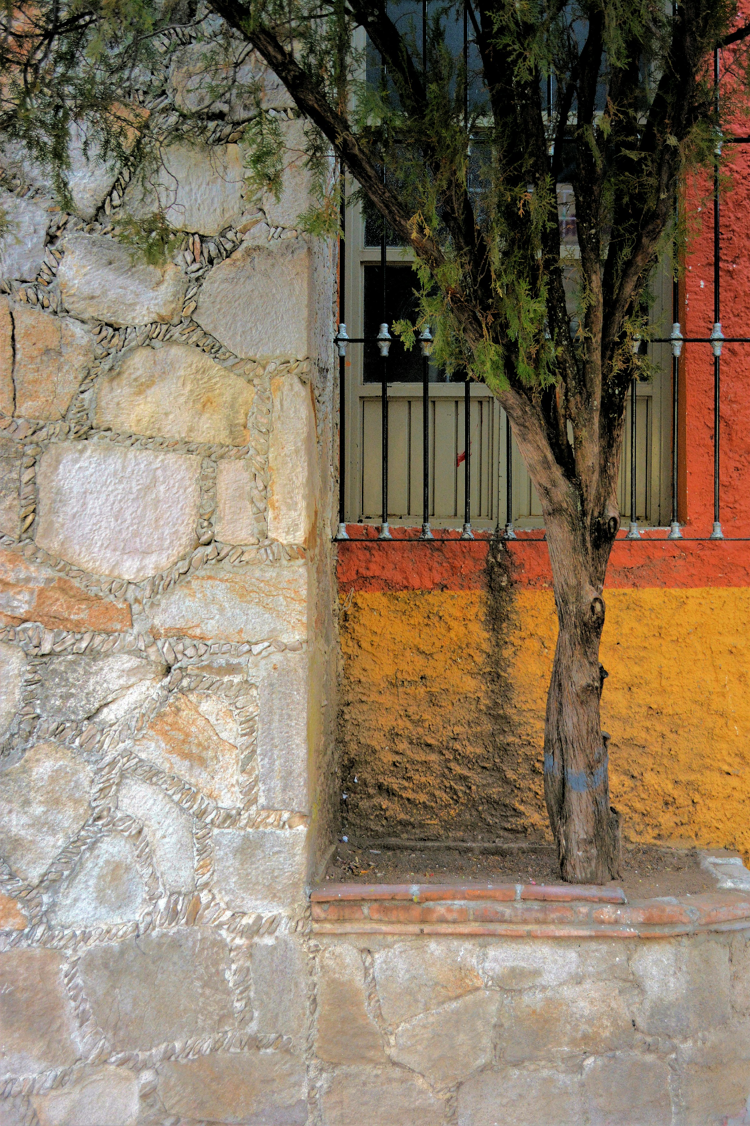 Photo by carlbcampbell