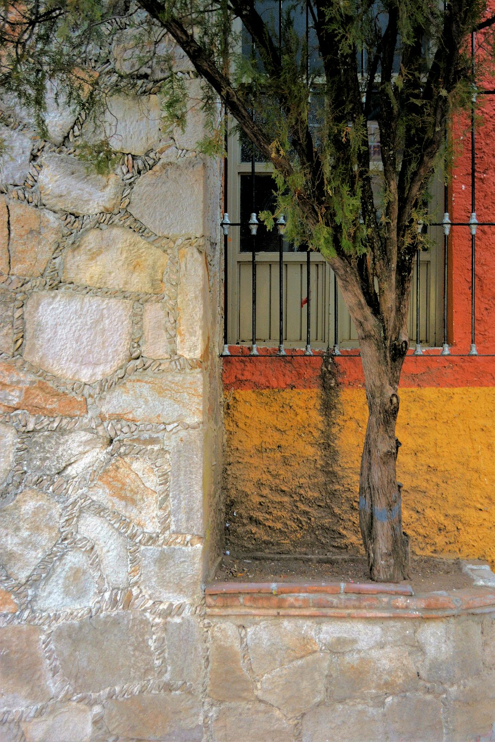 brown tree on brown brick wall