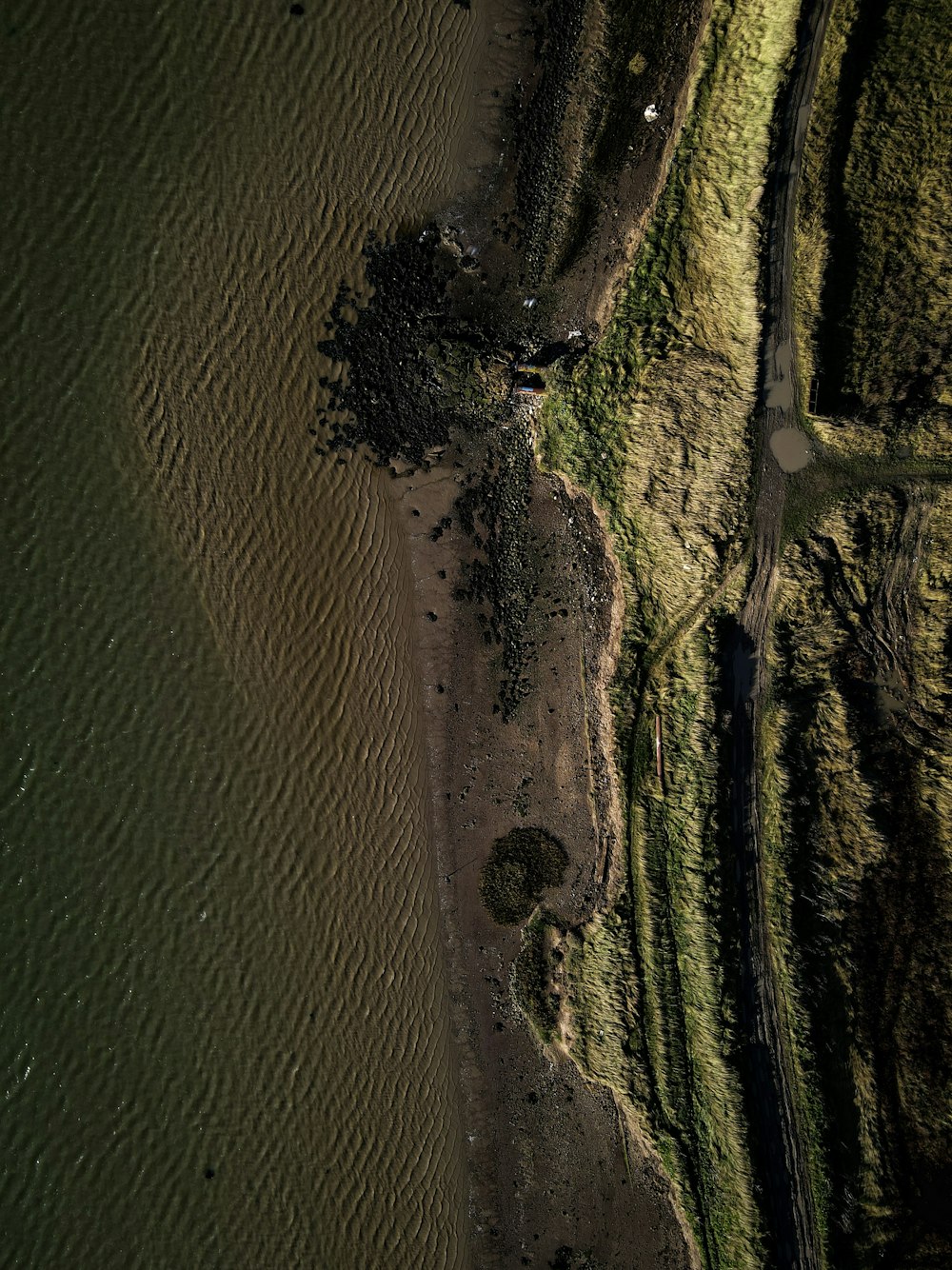 green grass field near body of water