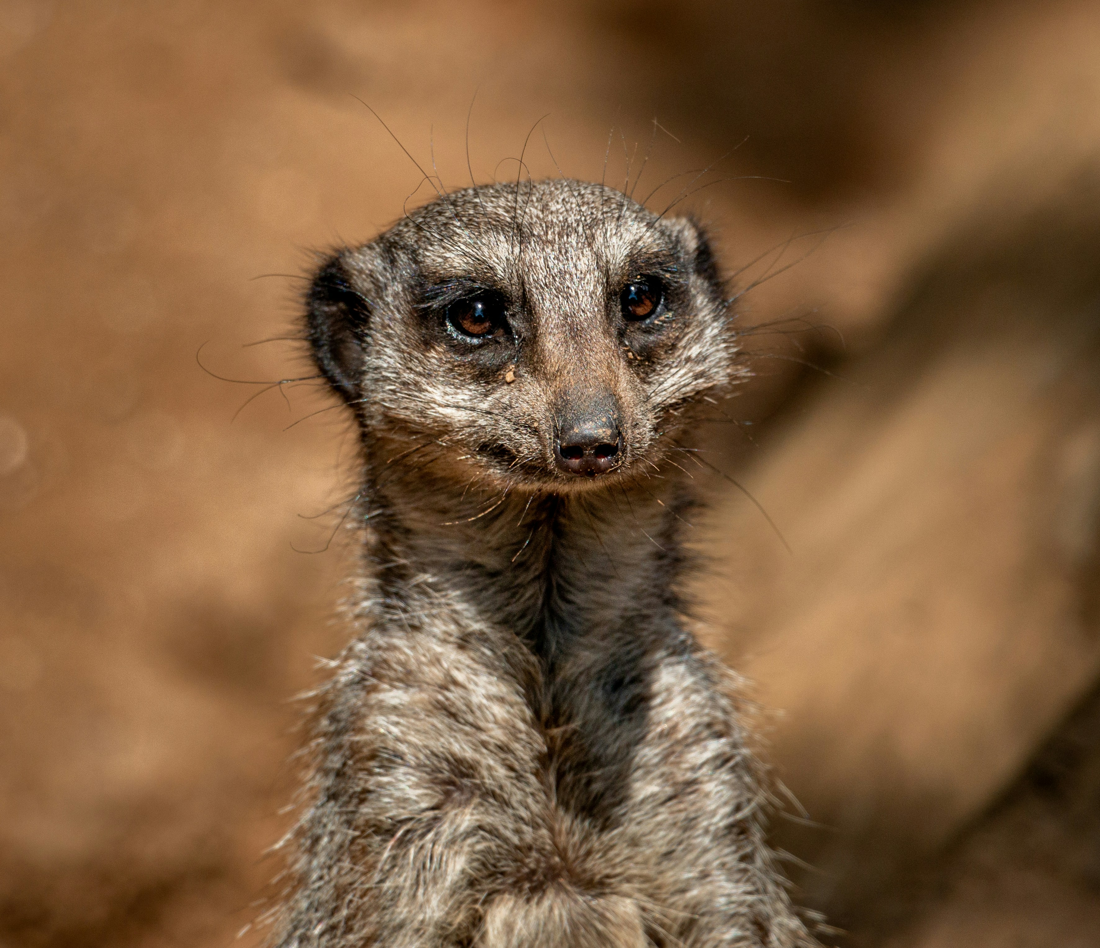 Photo by raymondo600