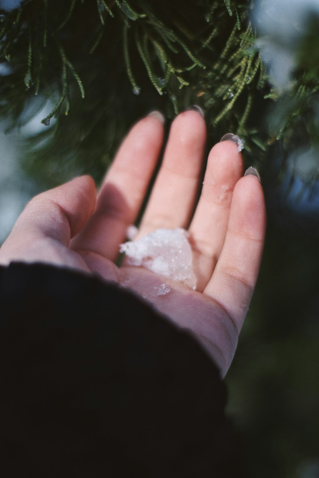 person holding white stone fragment