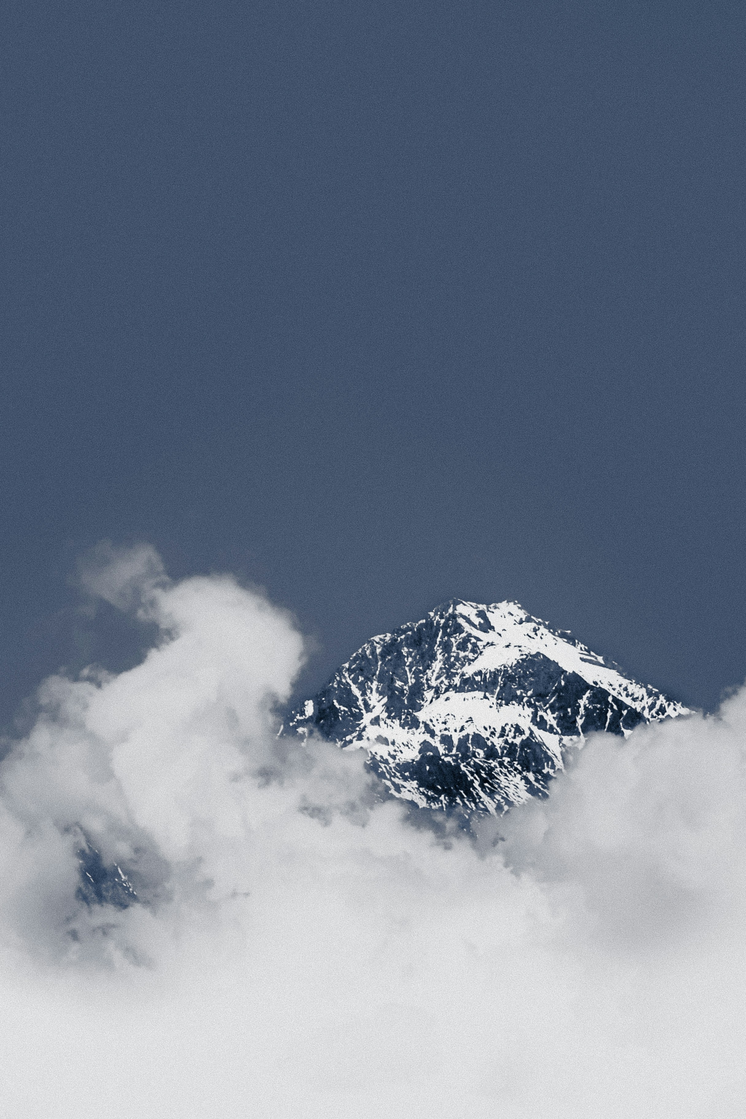 Photo by nature_of_the_experiment