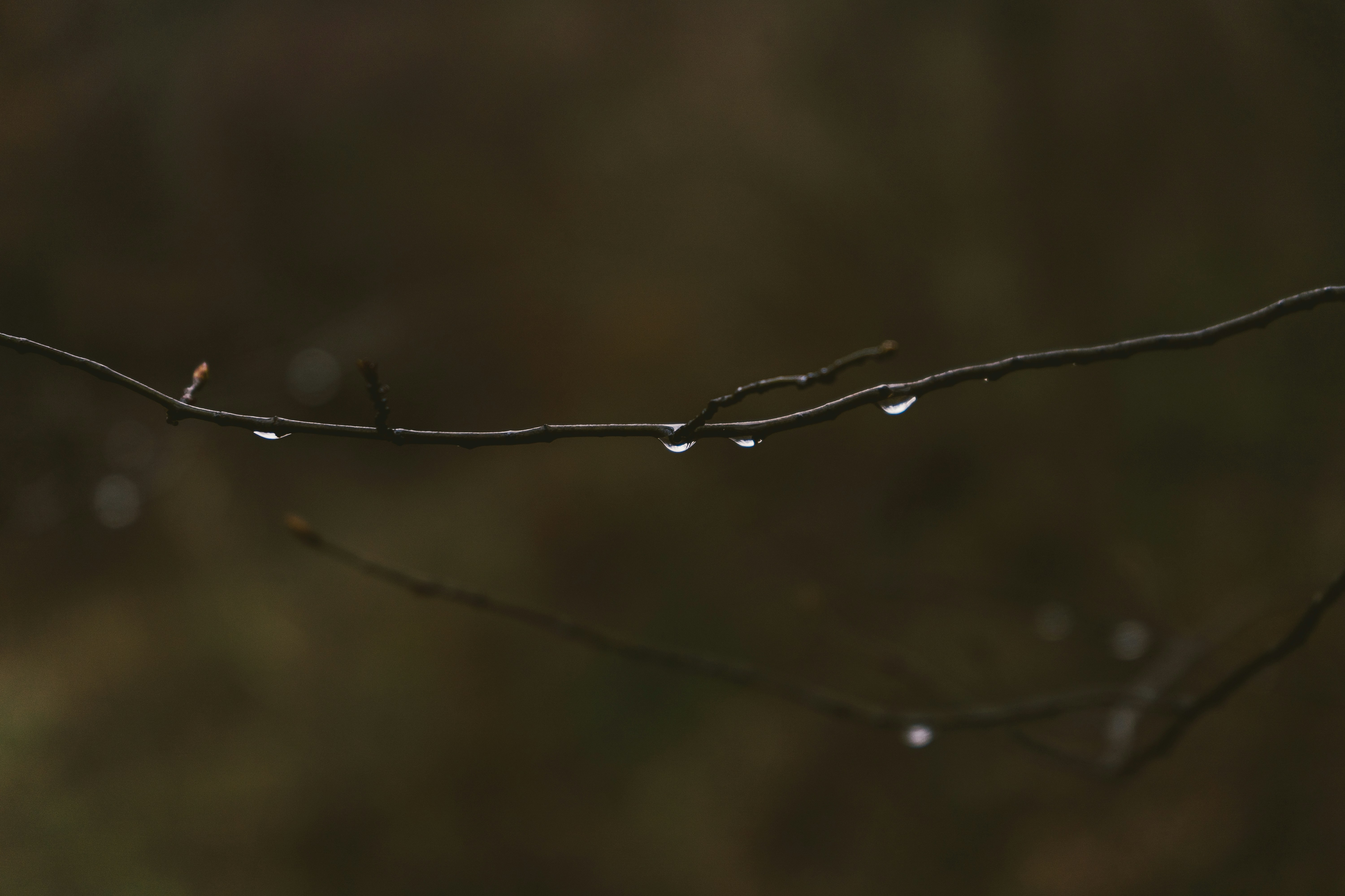 Photo by thestefankostic