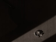 A set of minimalist men’s rings arranged in a neat line on a dark, smooth surface with high contrast lighting.