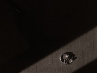 A set of minimalist men’s rings arranged in a neat line on a dark, smooth surface with high contrast lighting.