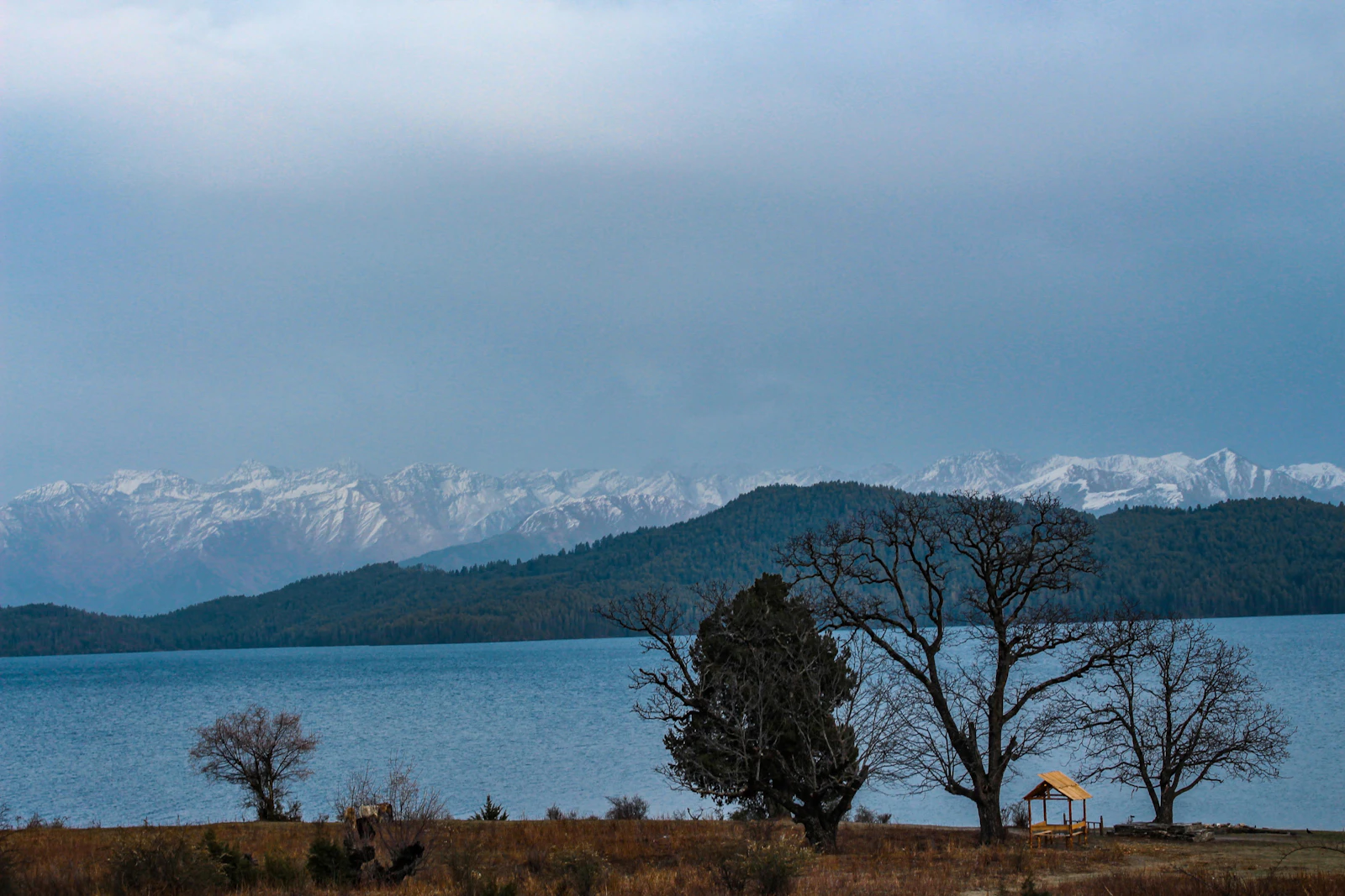 Rara Lake, Nepal's largest, with bare shore trees and snow-dusted ranges across still water