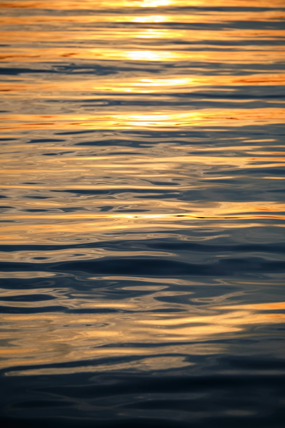 body of water during sunset