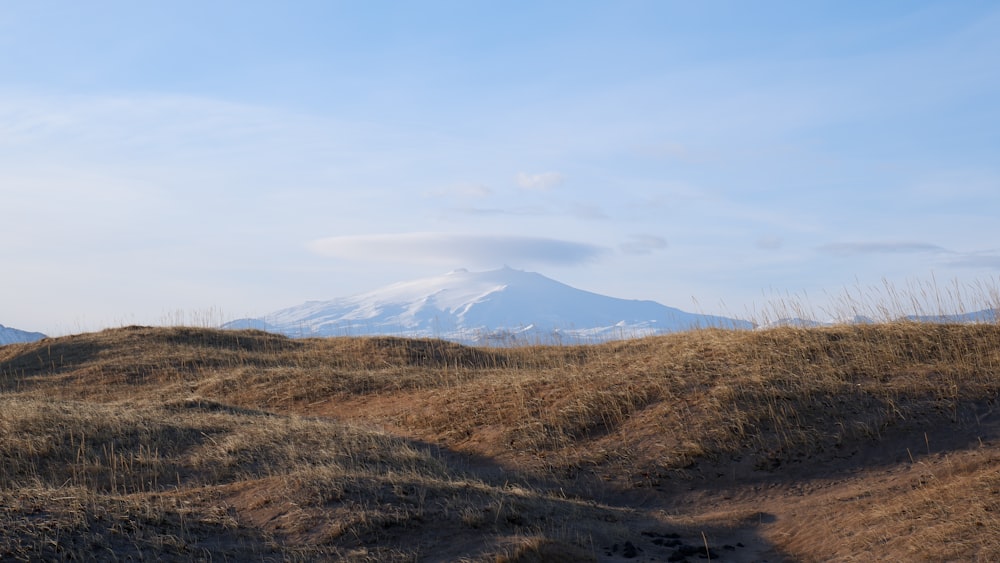 brown grass field near mountain under blue sky during daytime