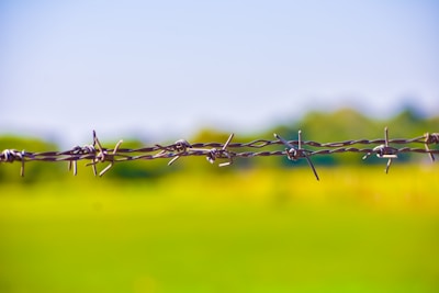 A barbed wire fence stretches horizontally against a blurred background of vibrant green fields and a clear blue sky. The sharp, twisted metal is prominently featured in the foreground, emphasizing its harsh and protective nature.