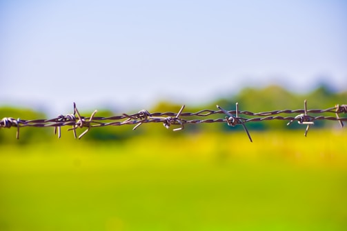 A barbed wire fence stretches horizontally against a blurred background of vibrant green fields and a clear blue sky. The sharp, twisted metal is prominently featured in the foreground, emphasizing its harsh and protective nature.