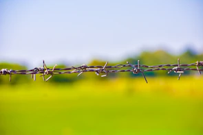 Electric fence with sharp spikes glowing faintly under evening light, emphasizing protection.