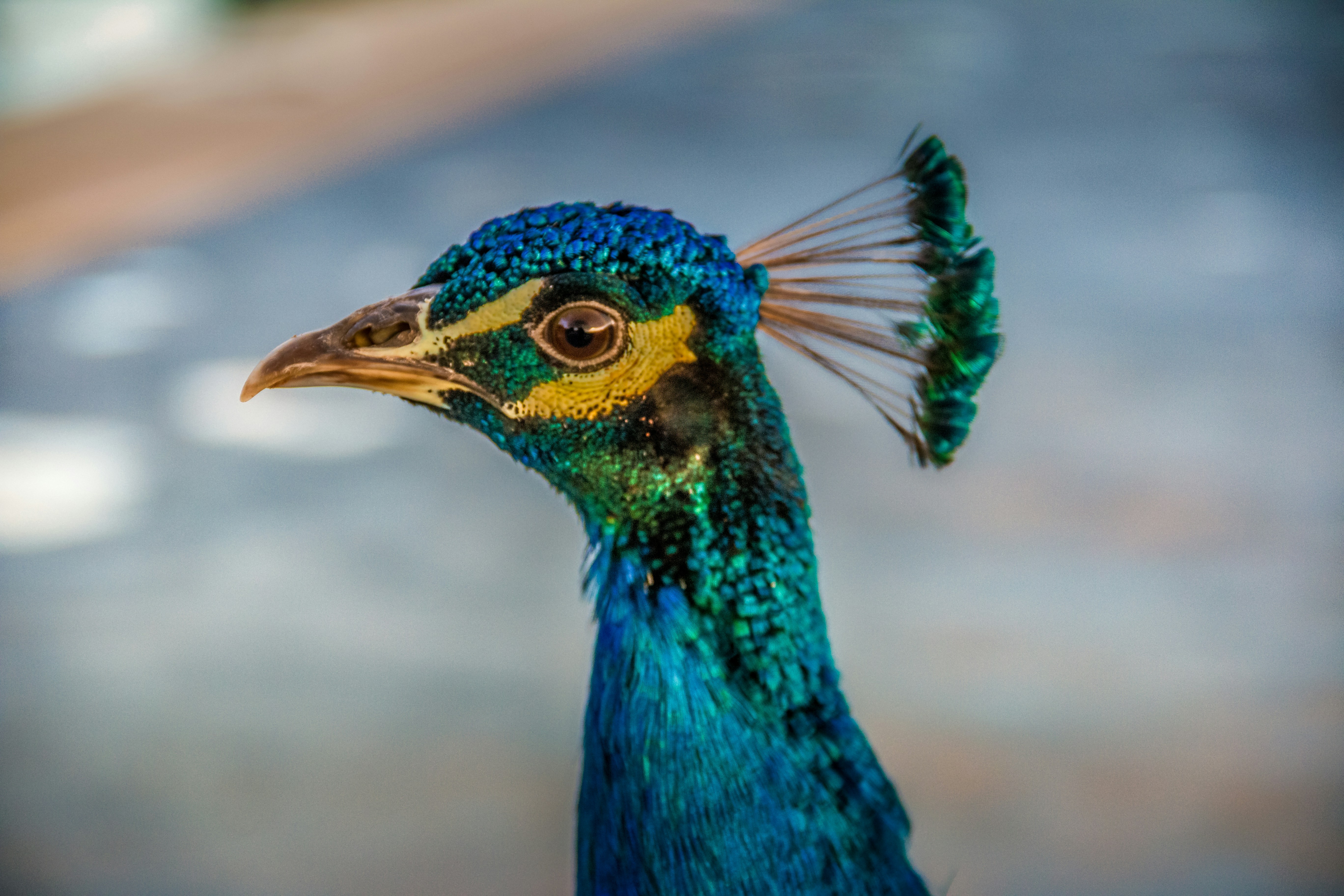 Photo by visionaryconcepts