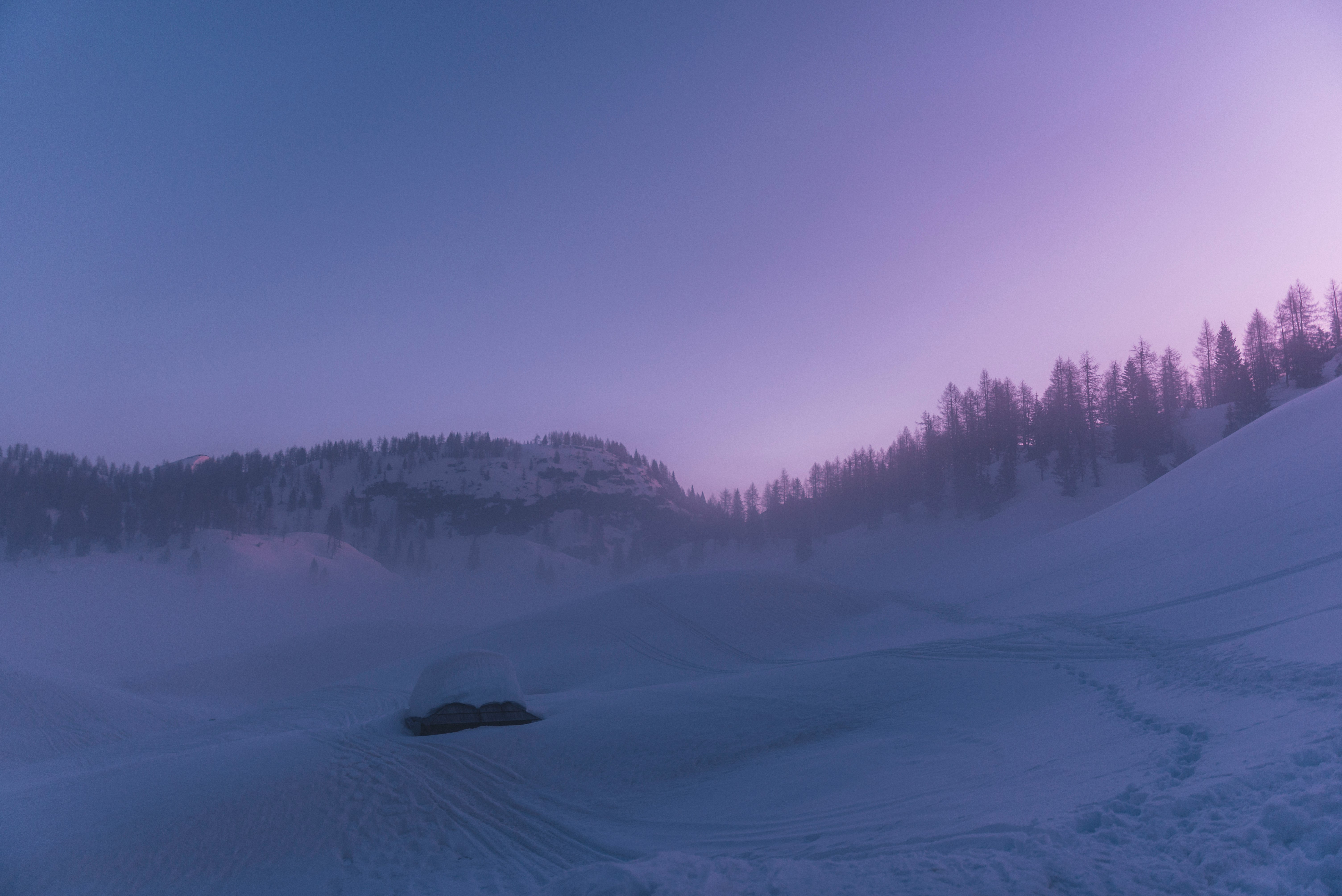 snow covered field and trees during daytime