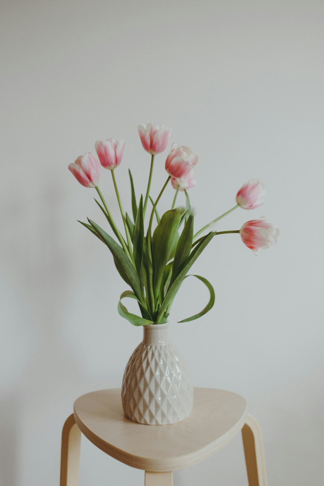 pink and white tulips in white ceramic vase