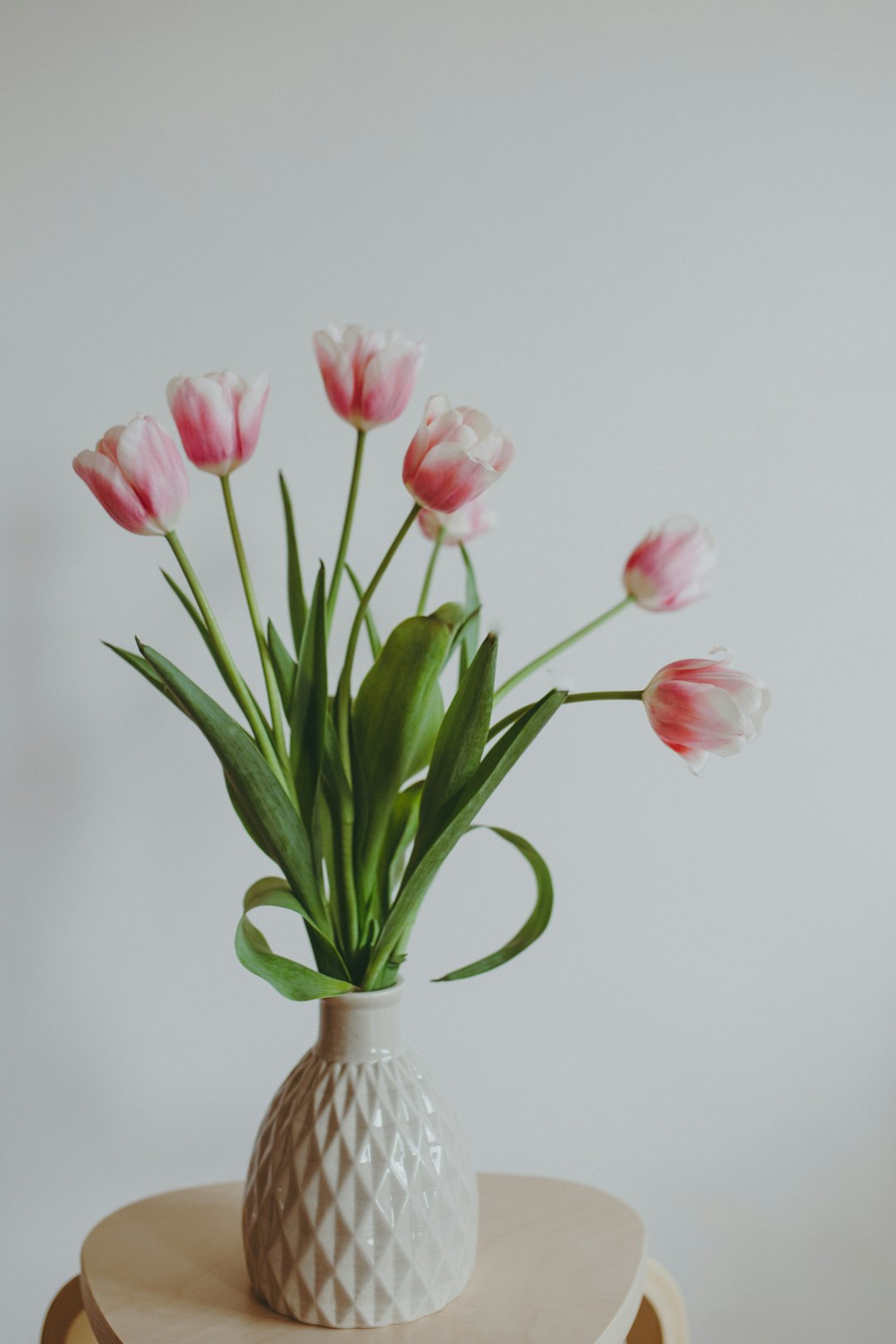 pink and white tulips in white ceramic vase