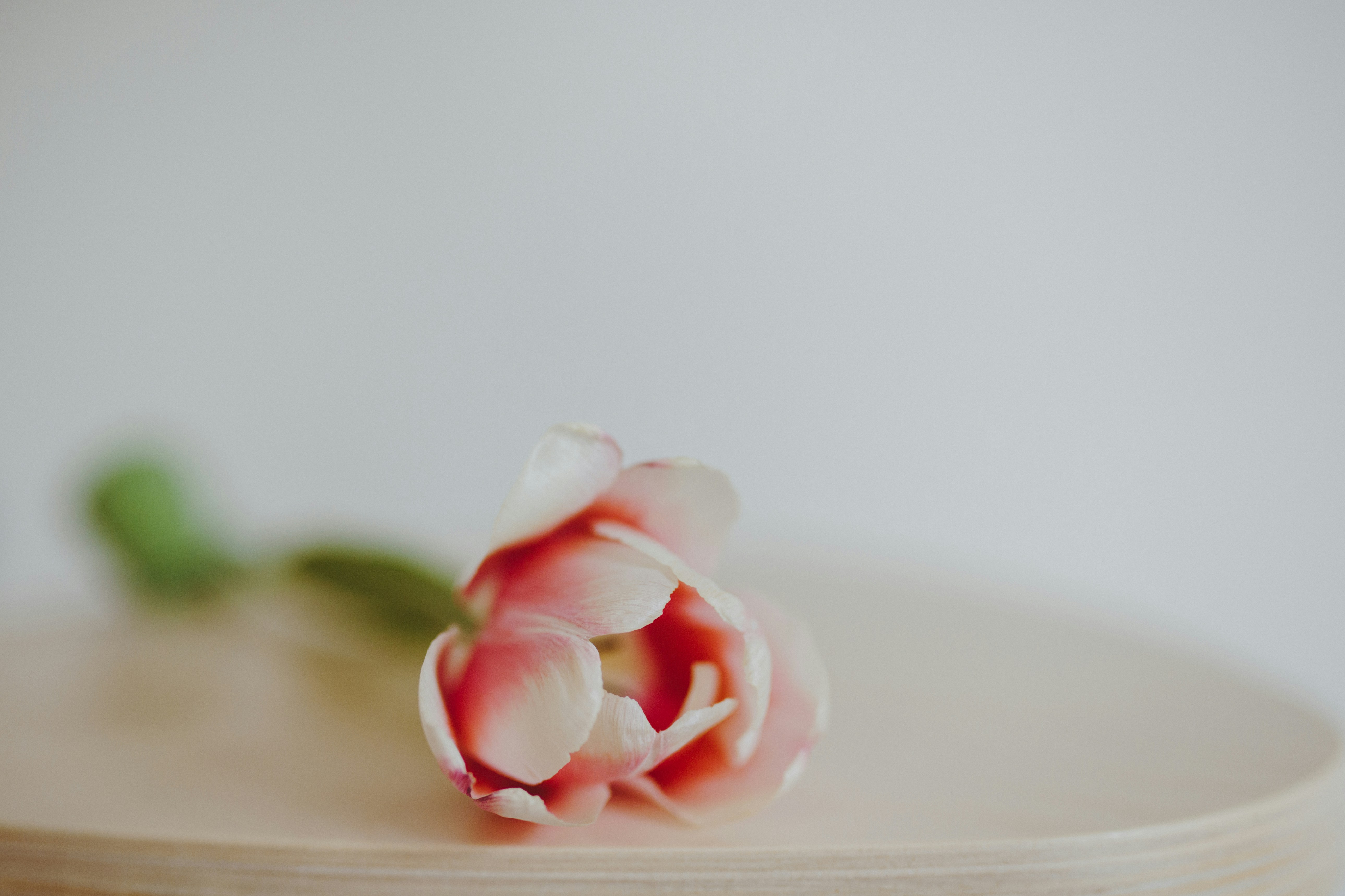 Photo by i_am_simoesse