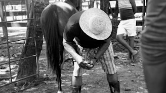 A person wearing a straw hat, plaid shorts, and boots is bending over, possibly grooming the hooves of a horse. Another person stands nearby, leaning against a fence, dressed in casual summer wear. The setting appears to be outdoors, likely at a farm or stable, with a rustic, shaded environment.