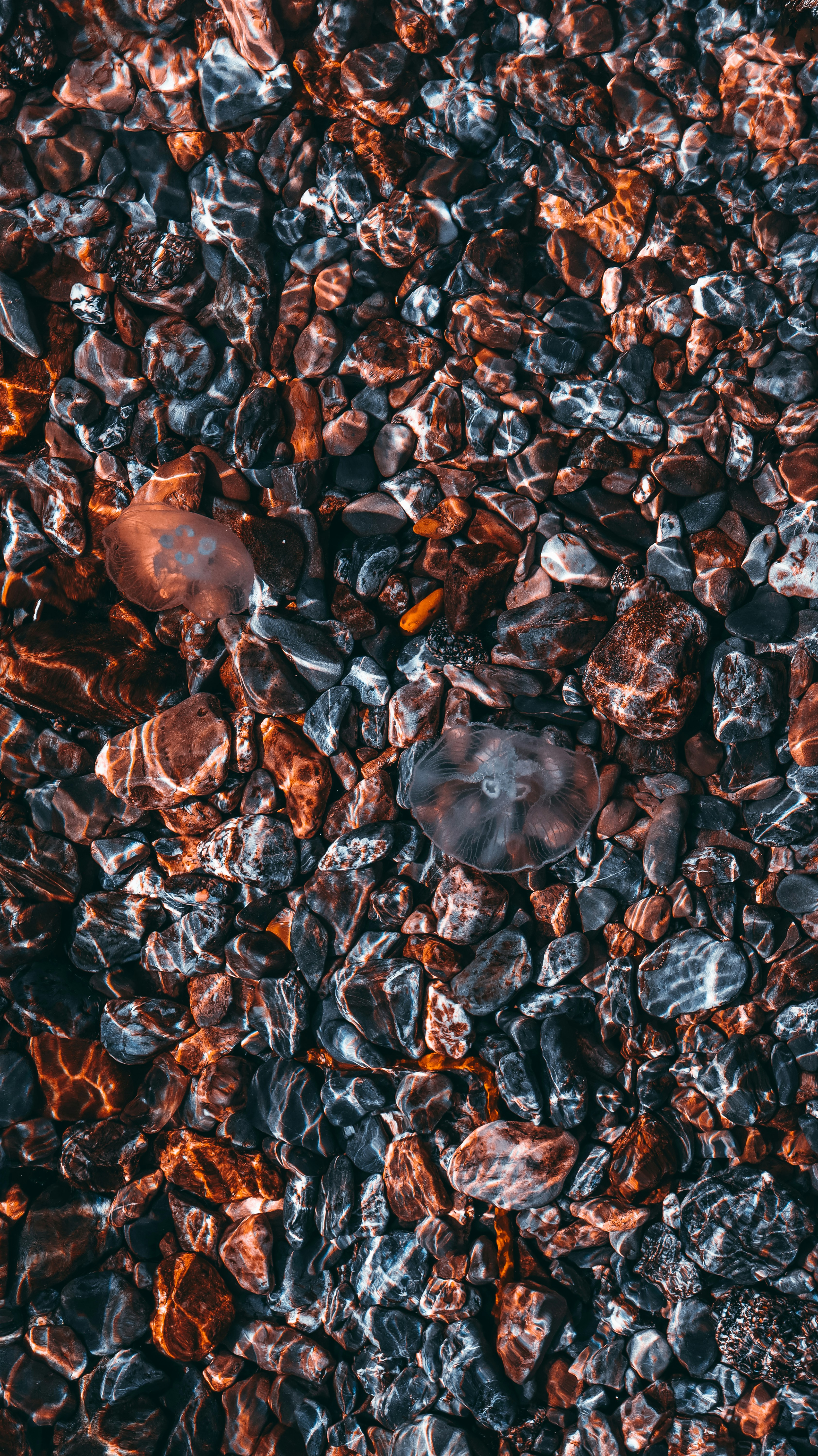 Photo by ham25_design