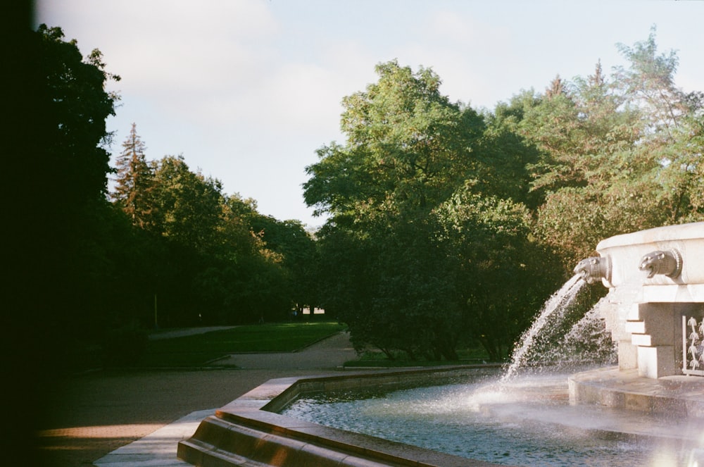 fontaine d’eau près des arbres verts pendant la journée