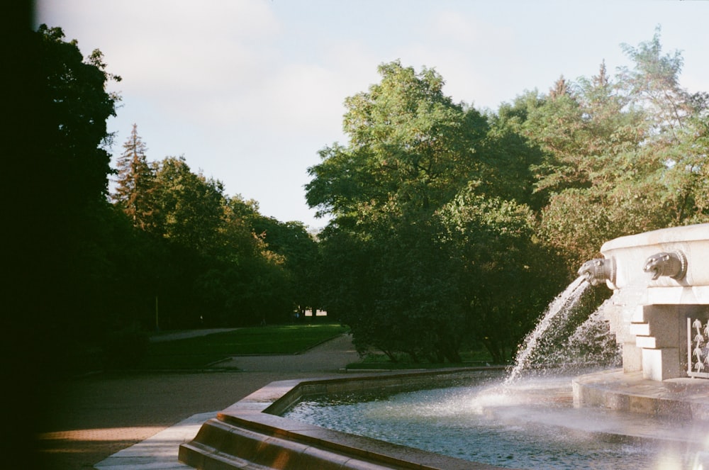 water fountain near green trees during daytime