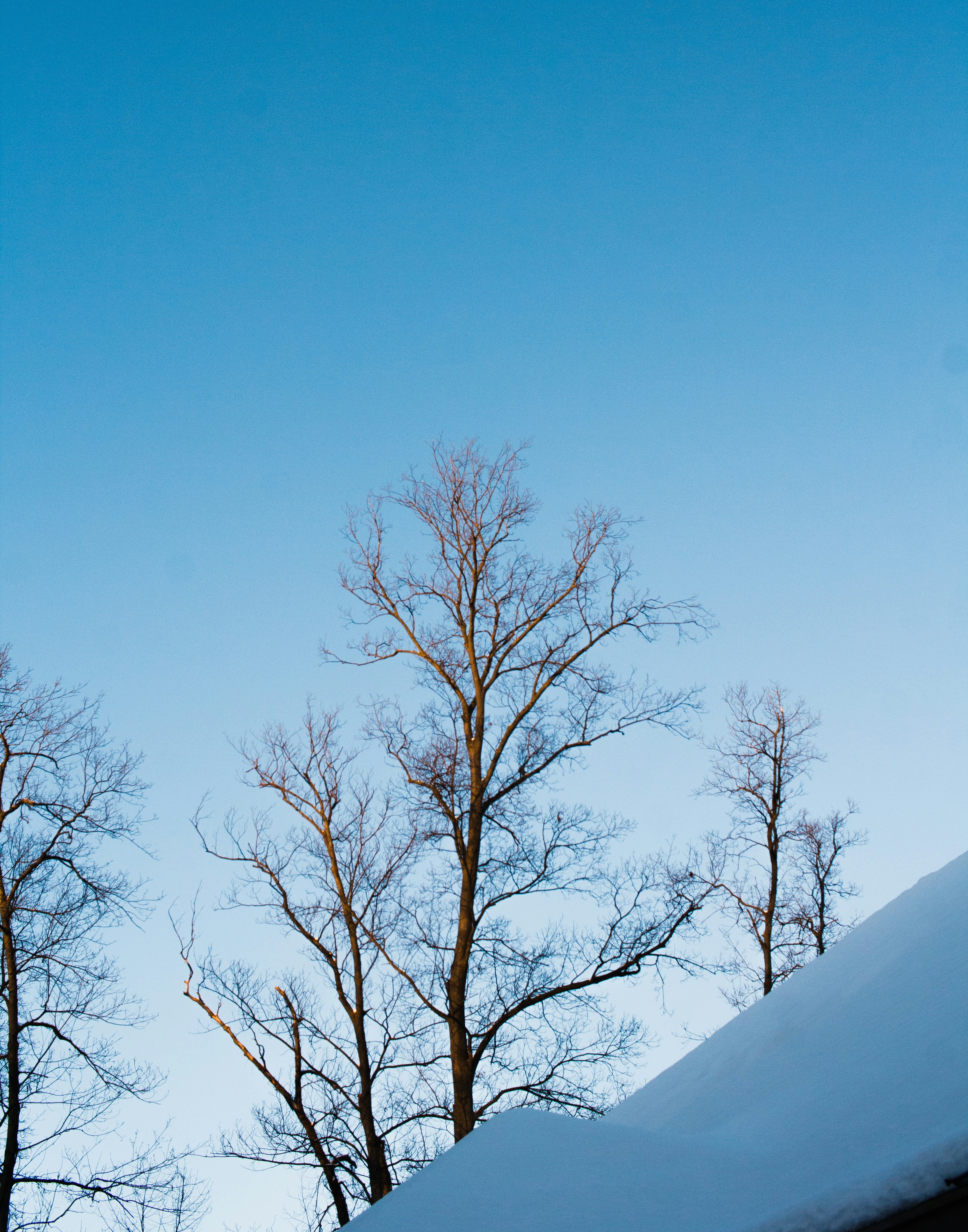 Photo by bradynshock