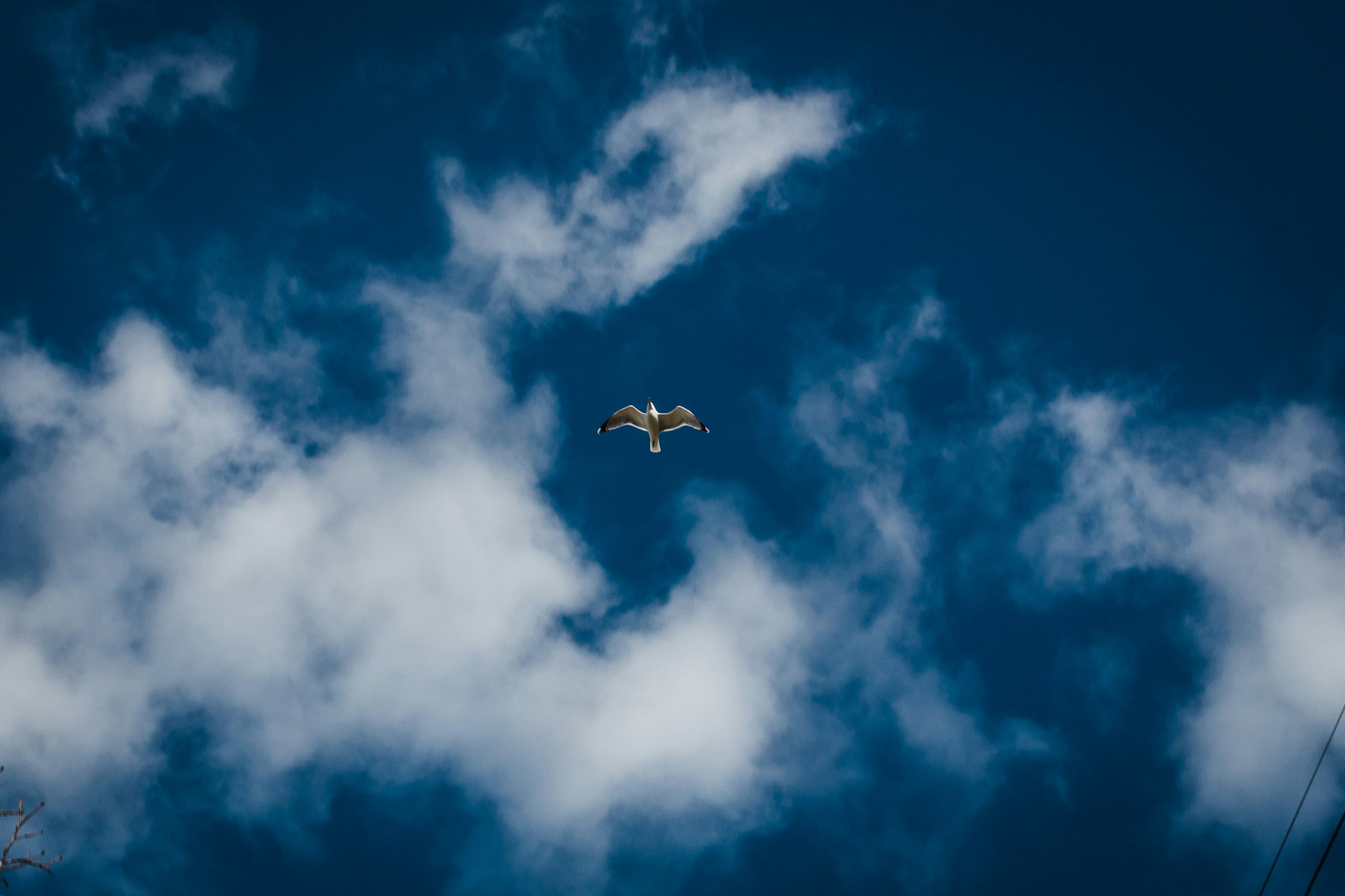 Photo by bradynshock