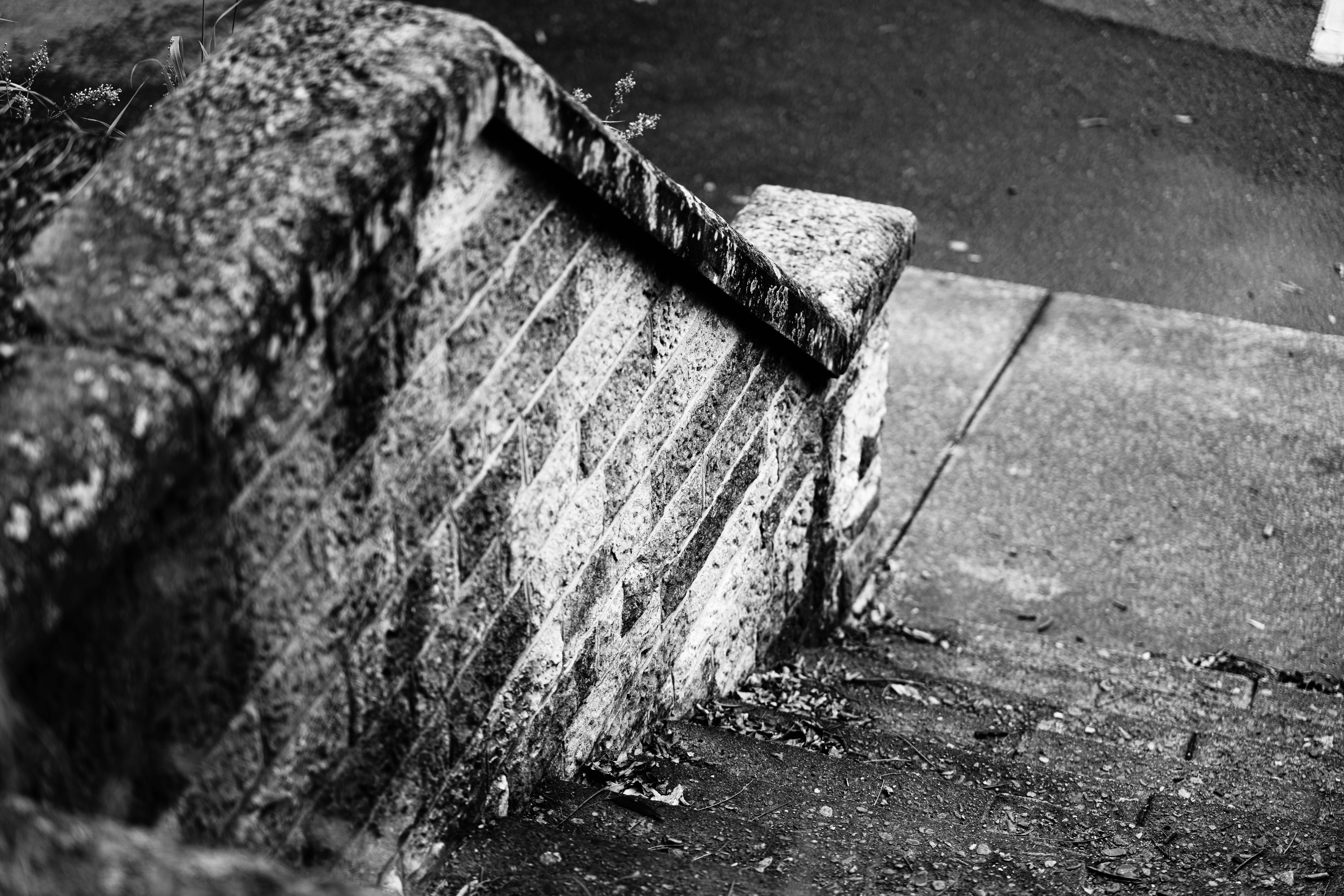 Photo by stewartmunro