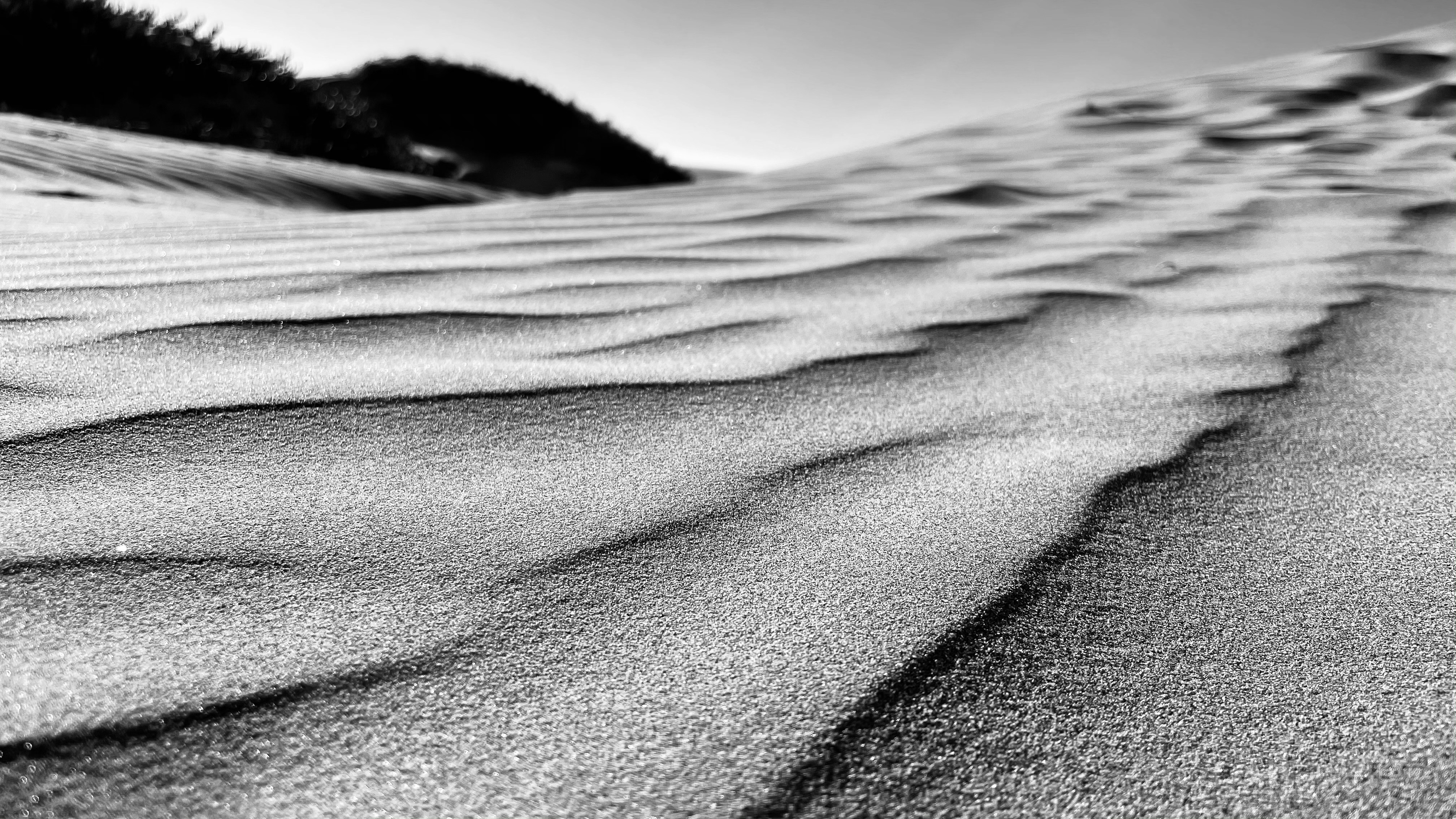 Photo by createelement27