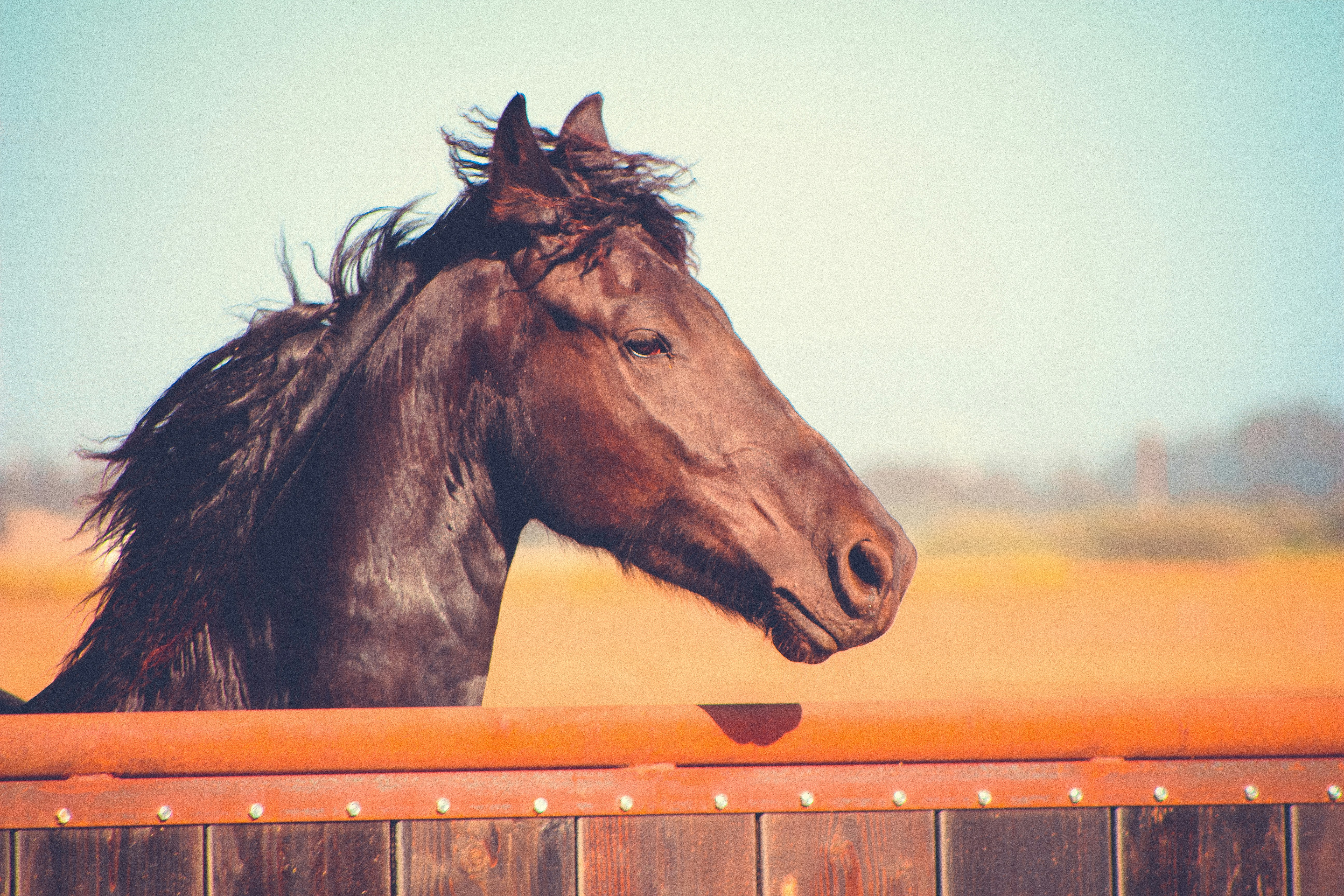 Photo by createelement27