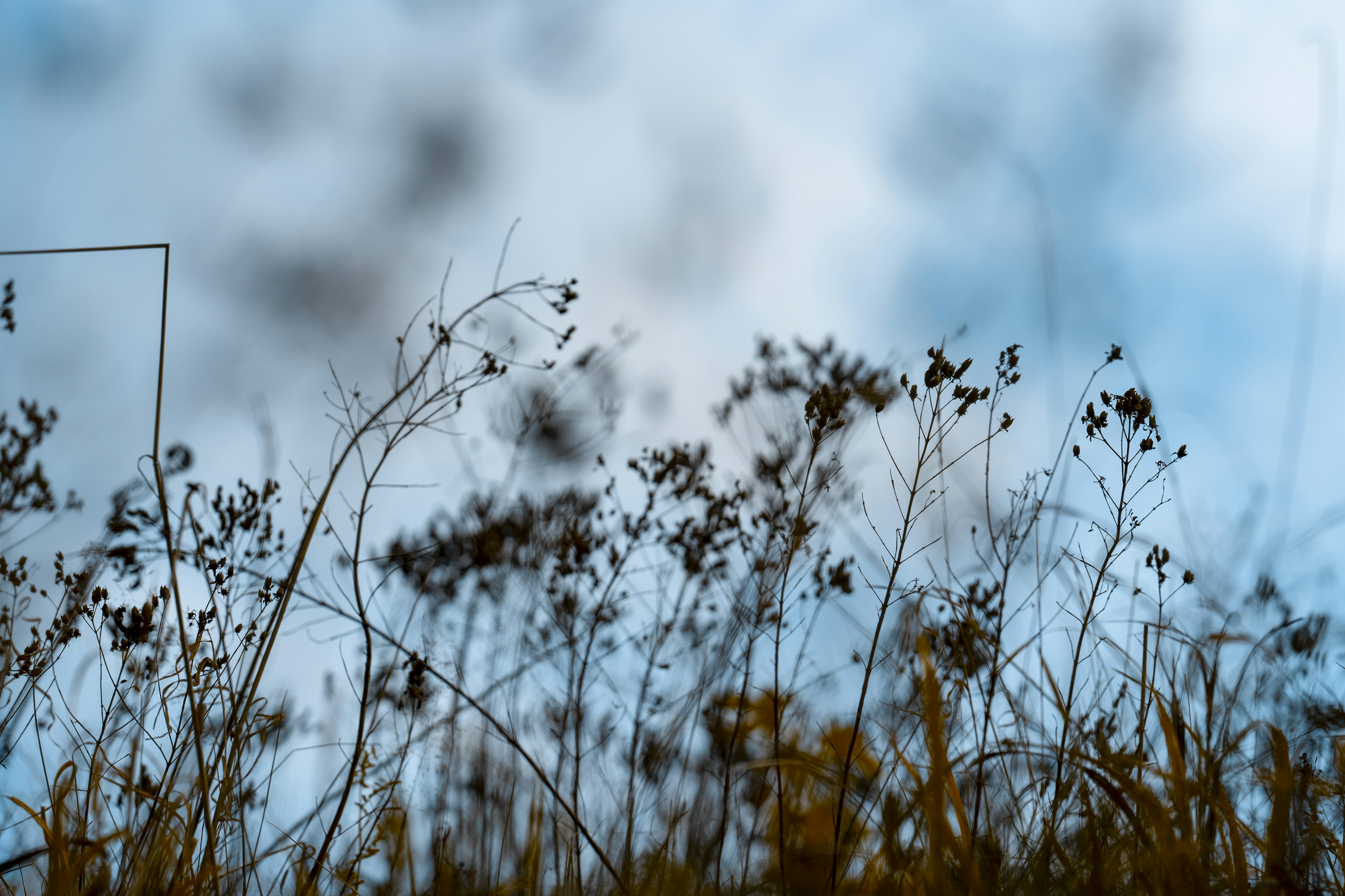 Photo by omarvellous14