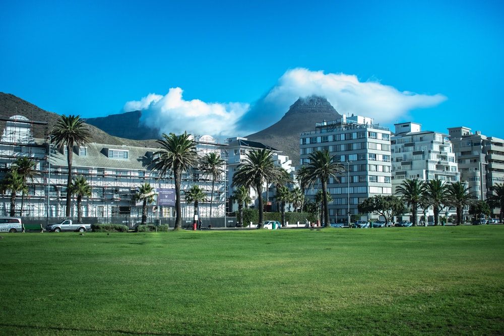 green grass field with trees and buildings under blue sky and white clouds during daytime