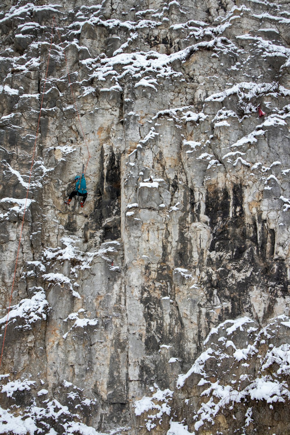 person in blue jacket climbing on brown tree