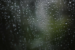 Droplets of water clinging to a transparent surface create a blurred backdrop with a soft, out-of-focus effect. The water droplets vary in size and are scattered across the surface, giving the impression of a rainy or misty day. The background is predominantly dark green, suggesting foliage or a natural outdoor scene.
