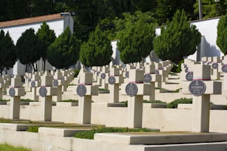 A cemetery with rows of white stone crosses, each adorned with a round plaque. The graves are orderly and surrounded by lush green hedges and trees. A white wall is visible in the background, creating a serene and solemn atmosphere.