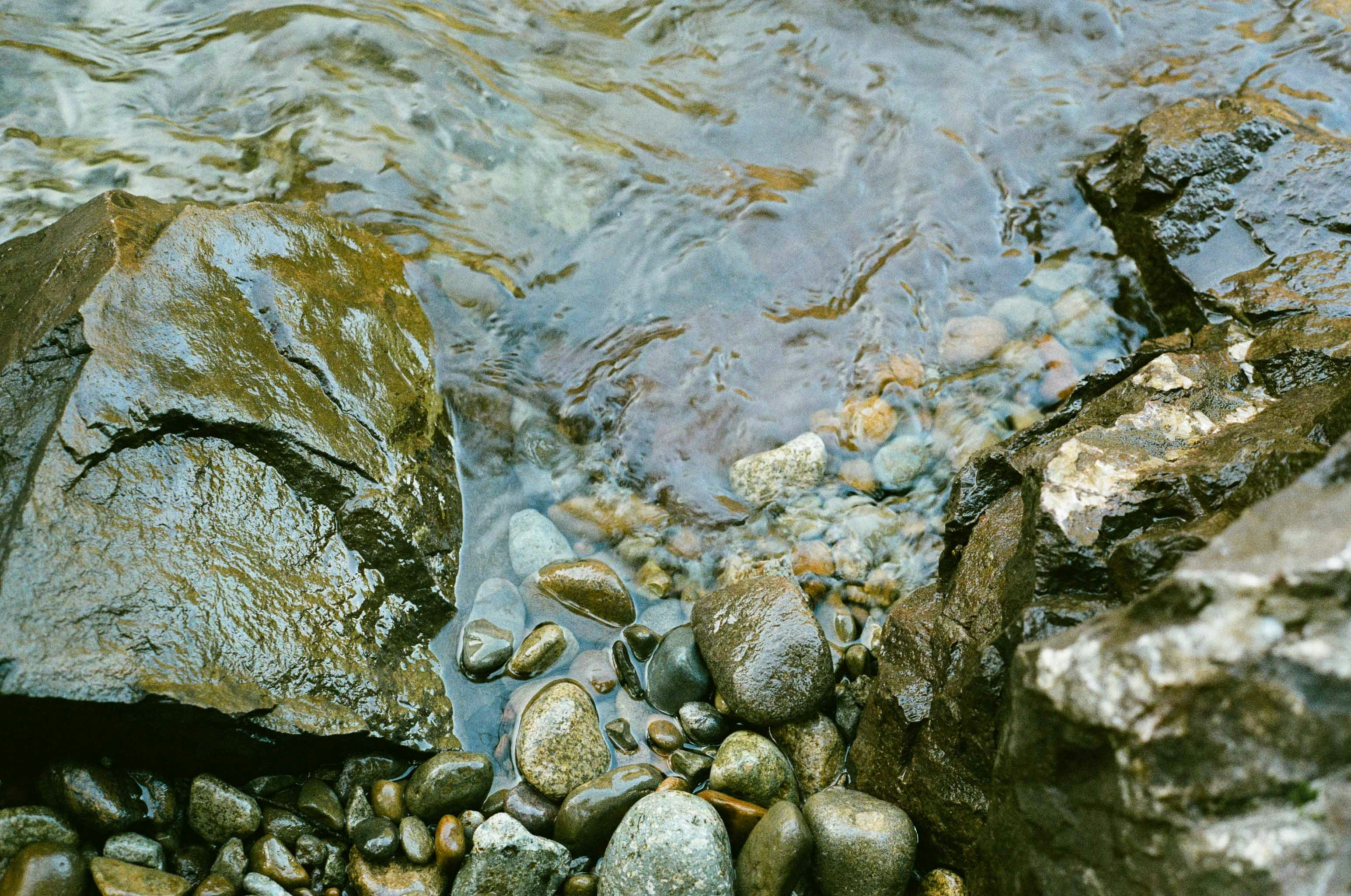 Photo by ivan_kosovan