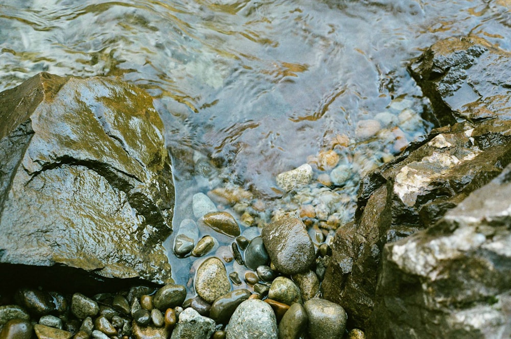 gray and white stones on river