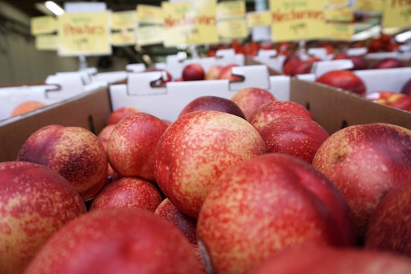 Red round fruits on display