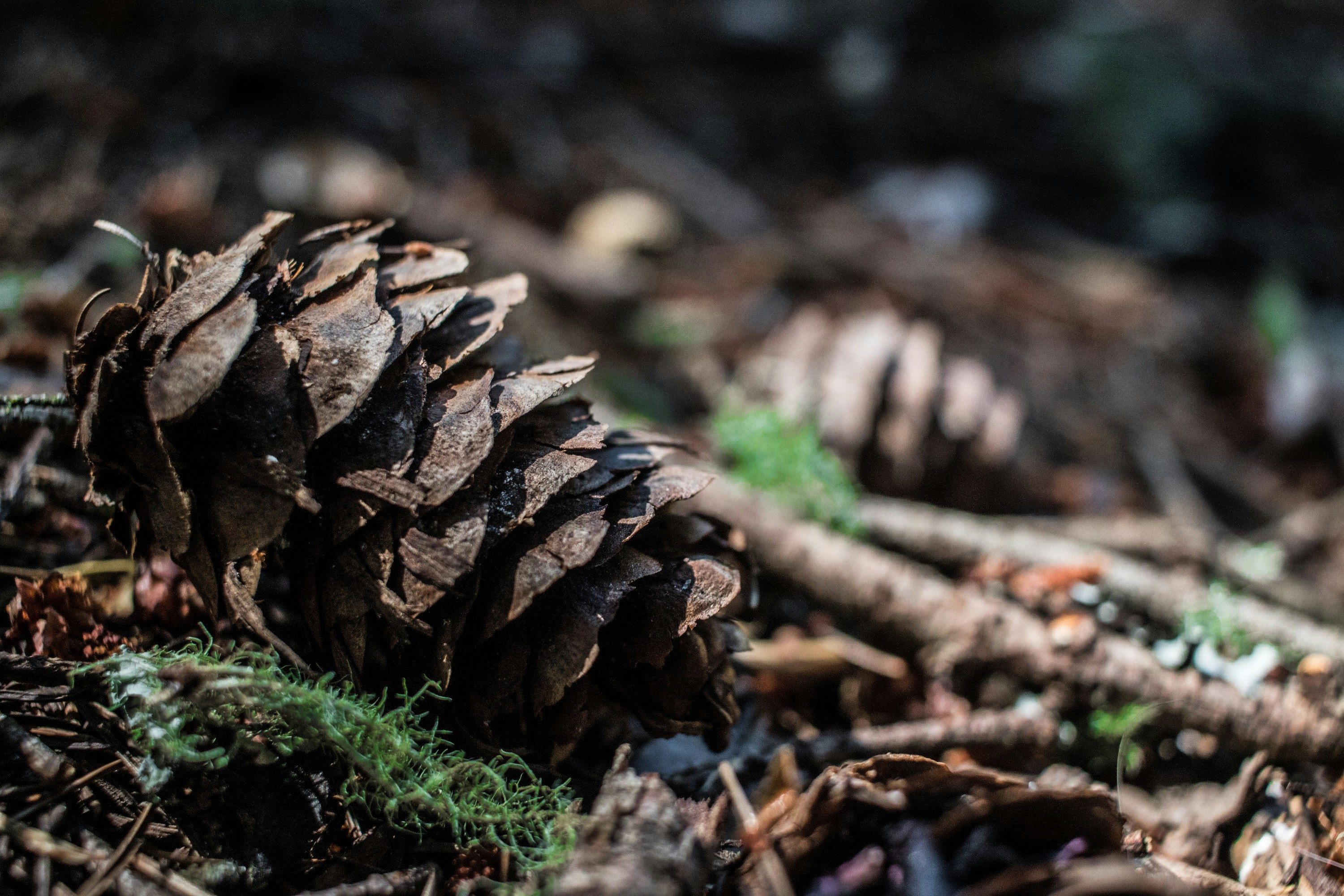 Photo by visuals_by_fred