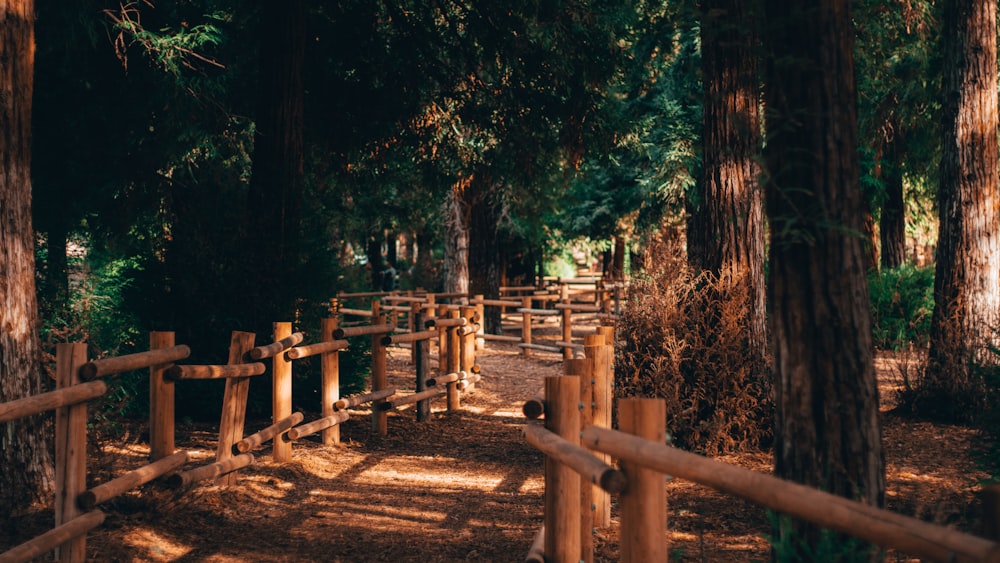 brown wooden fence near green trees during daytime