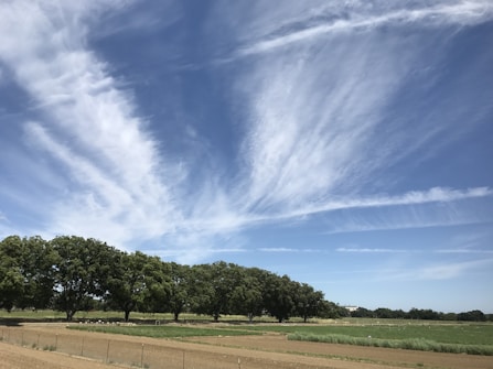 A landscape featuring expansive blue skies with wispy, white clouds stretching across the horizon. Below, there are rows of green trees bordering a vast agricultural field, which appears to be freshly plowed. The scene suggests a serene and open rural environment.