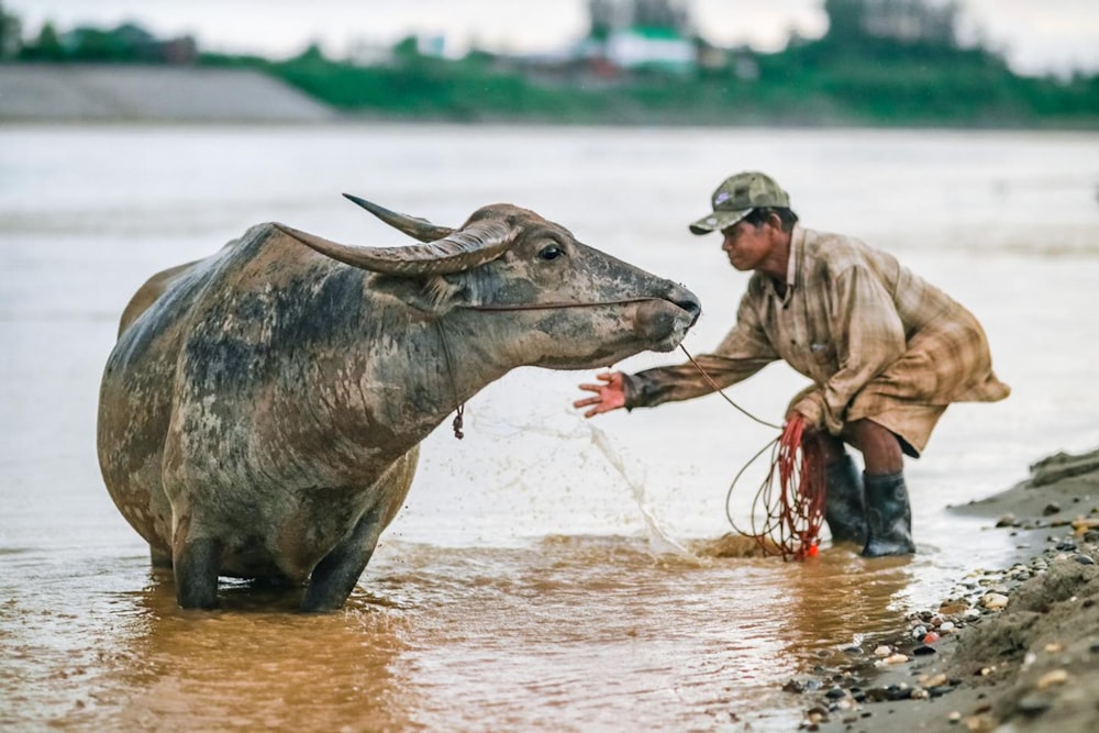 man in brown jacket and pants riding black water buffalo