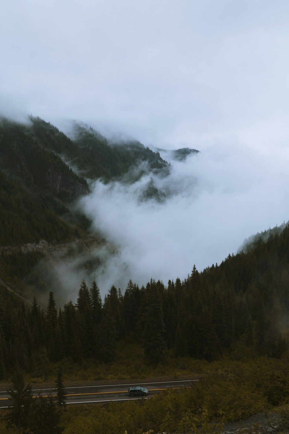 green trees on mountain under white clouds during daytime