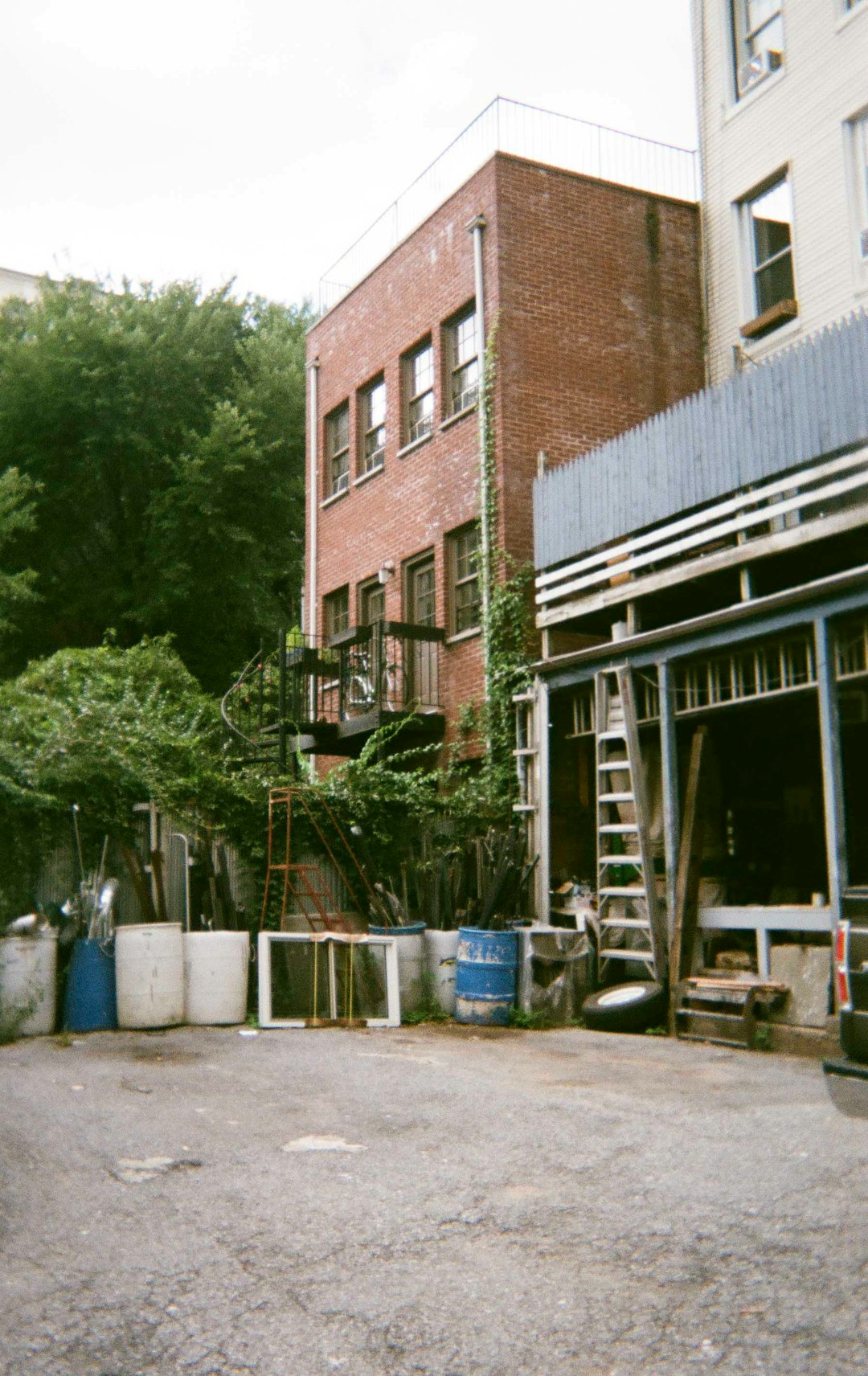 green trees beside brown concrete building during daytime