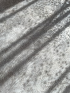 Soft shadows of tree branches or other objects are cast on a textured surface, creating an abstract, patterned effect.