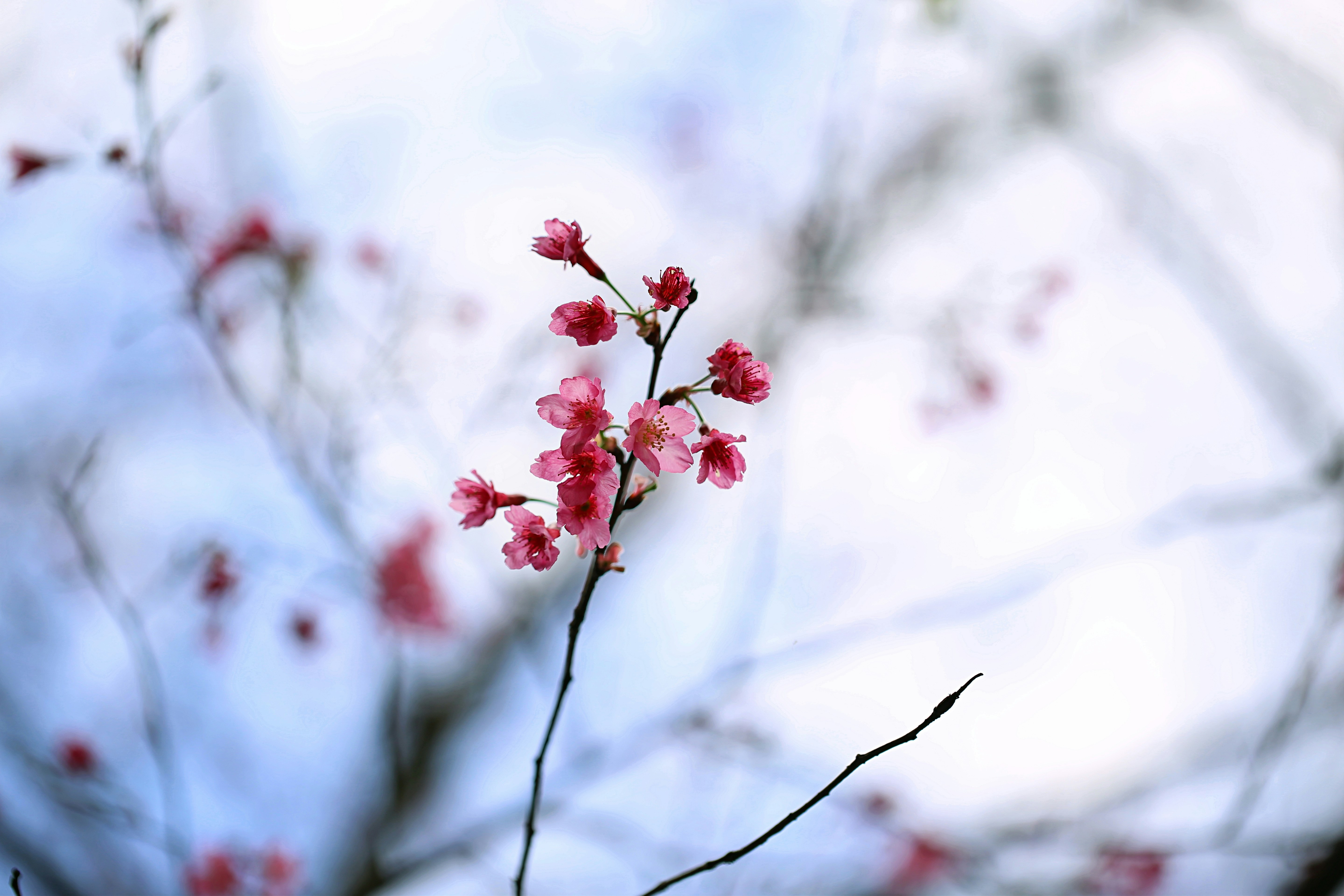 lee artist (@lee_artist0414) | Unsplash Photo Community