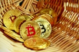 A collection of golden coins featuring the Bitcoin symbol rests inside a woven basket, creating a sense of abundance and wealth.